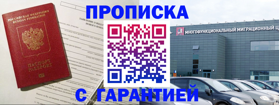 прописка поиск в Курской области